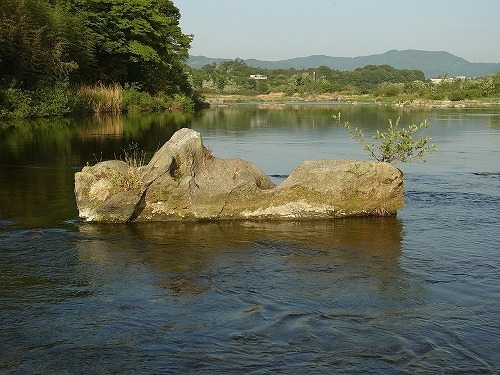 g001.jpg