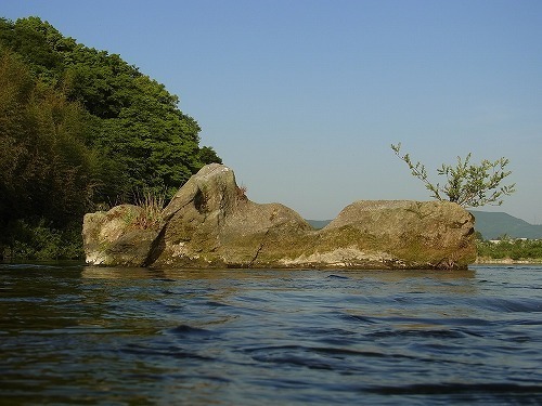 g004.jpg
