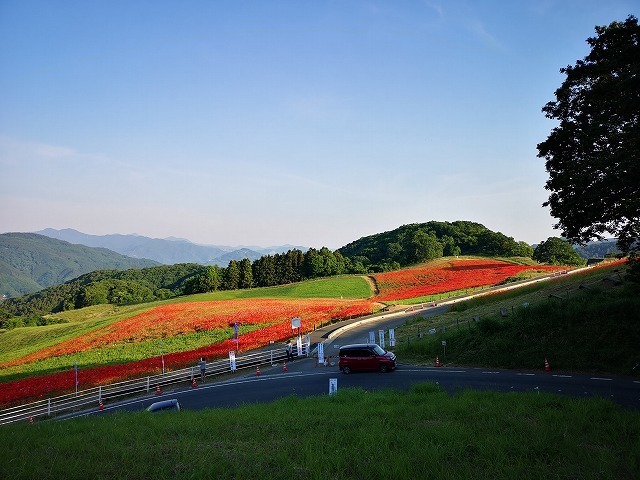 h03.jpg