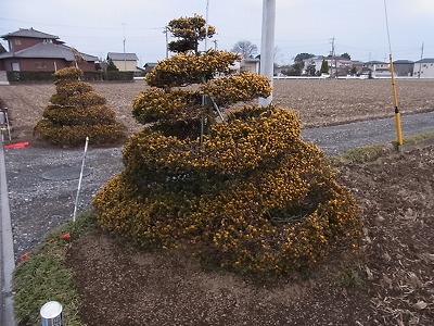 ki05.jpg