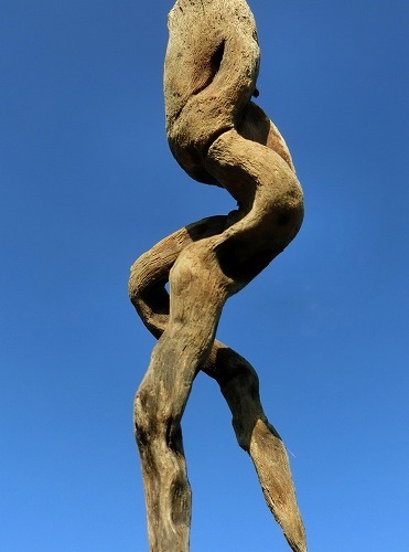 m001.jpg