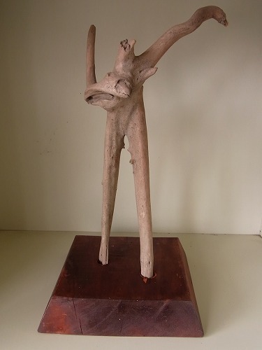 m005.jpg