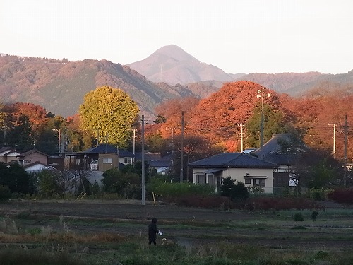 mikabo.jpg
