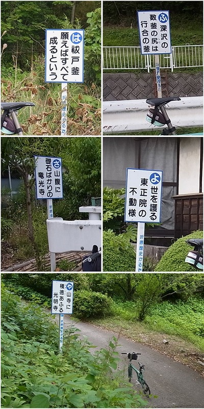 panelimg6.jpg