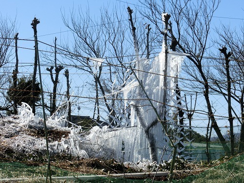 w02.jpg