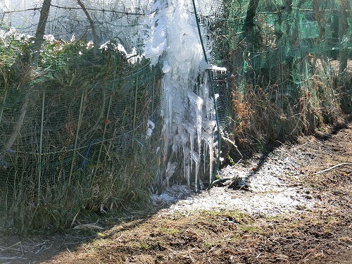 w03.jpg